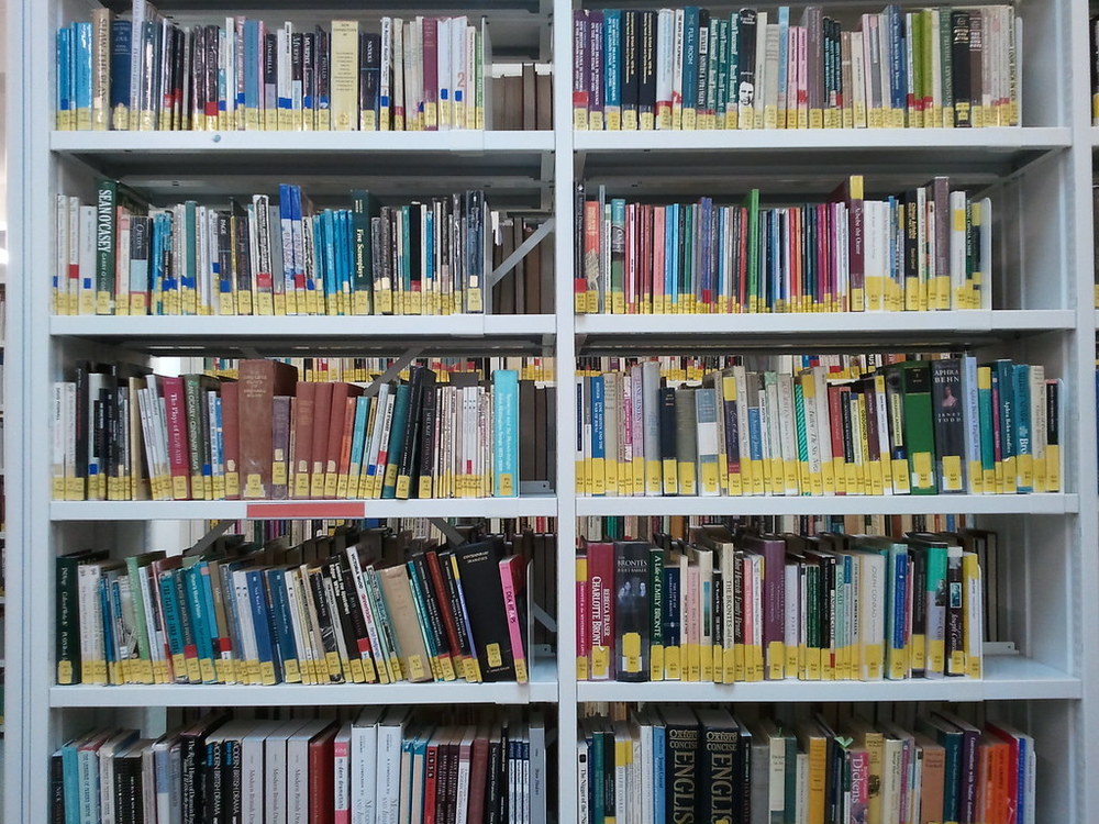 White library shelves full of books