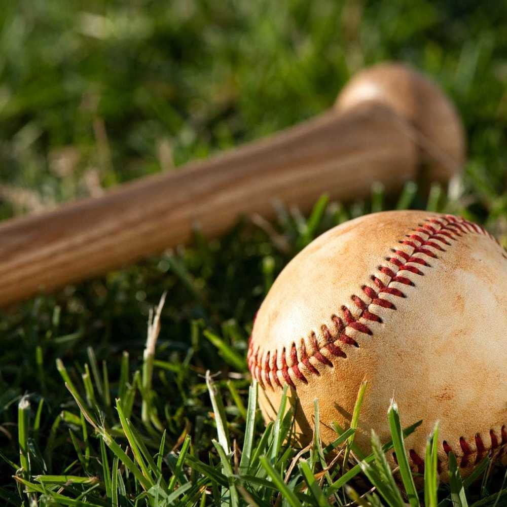 white baseball & wooden bat