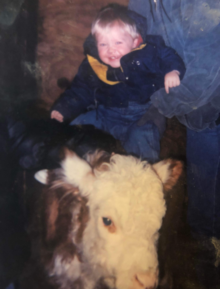 Baby boy picture on cow